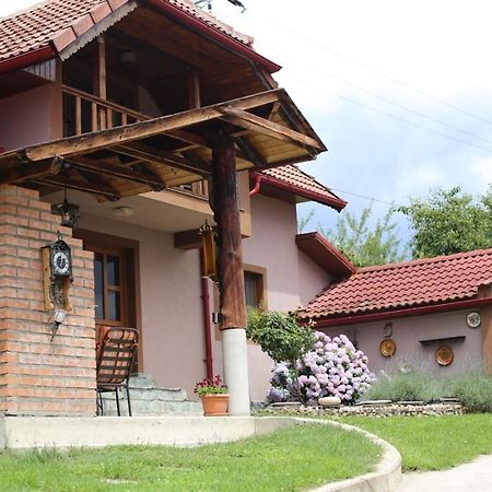 Casa Darius Villa Novaci-Străini Exterior photo