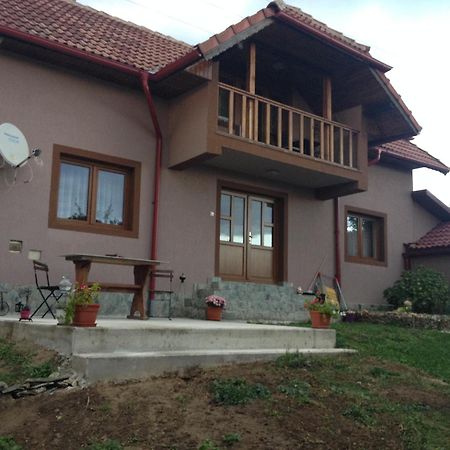 Casa Darius Villa Novaci-Străini Exterior photo